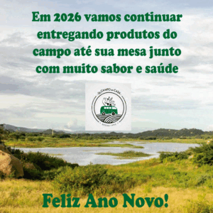 ANO-NOVO-DO-CAMPO